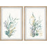 Judsonia Underwater Garden by Marmont Hill - 2 Piece Single Picture Frame Painting Set