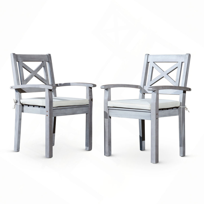 Dining Chairs Set Of 2