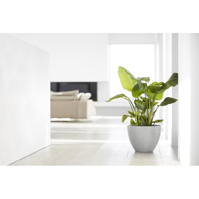 Ecopots Antwerp Indoor/Outdoor Modern Recycled Plastic Flower Pot Planter, 12" H x 16" W x 16" D, White Gray