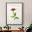 «Pretty Botanicals II», cadre photo-341834848-341834851