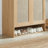Rattan Shoe Cabinet with Doors-366274889