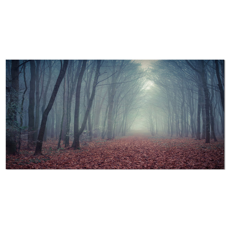 «Retro Style Misty Path in Forest», reproduction de photo sur toile tendue, H 28 po x l 60 po x P 1,5 po