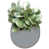 Gris clair mat est en rupture de stock