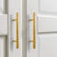 Vintage Hammered Bar Pull Multipack-107380450