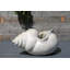 Grande jardinière à coquillage PLANTatorEM (blanc) - Céramique de cuisson à la main-127646662