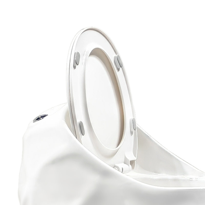 Toilette 1 pièce en céramique à finition simple blanc brillant avec siège à fermeture douce 1,28 GPF