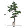 55" Artificial Faux Bonsai Tree