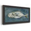 Marceline Marceline Deep Sea Swimmer I - Reproduction de photo sur toile-2117528149