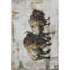 Tapis Premium lavable à la machine Mayfield AMF2245-2028985778-2028985787