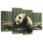 Panda Brampt sur un tronc