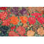 One-of-a-Kind Rectangle 7'8" X 15' Area Rug