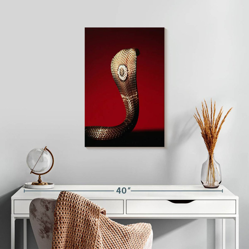 Brampt Cobra, 24" H x 16" W