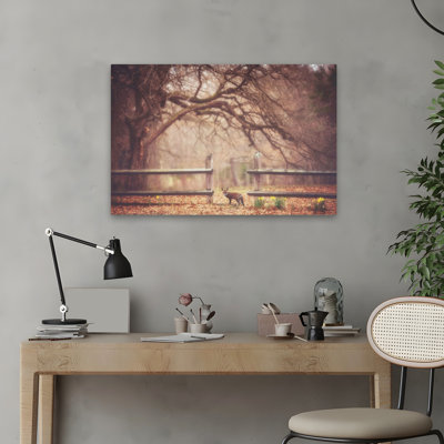Sly Guy - Photographie de paysage, animaux, faune