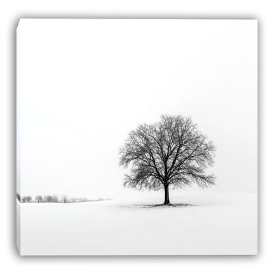 Art mural sur toile Quiet Balance