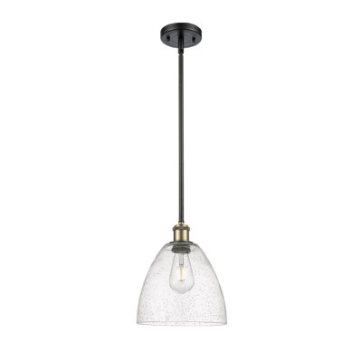 1 - Light Single Drop Pendant Pendant