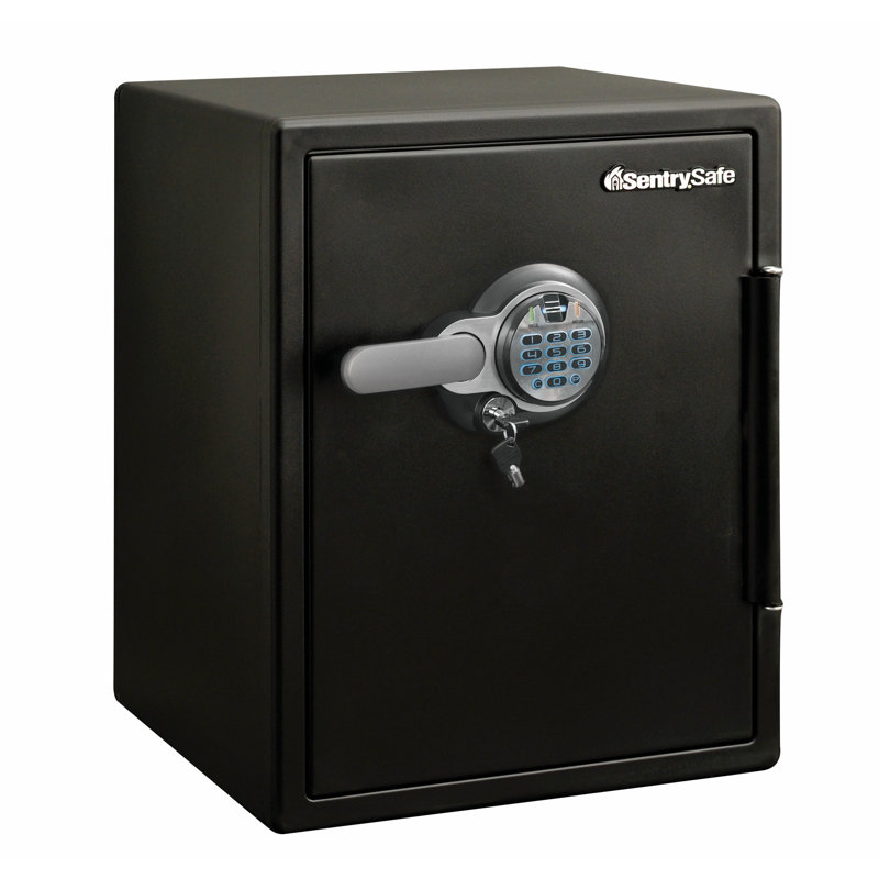 SentrySafe 2 CuFt Fire/Water Security Safe with Biometric Dual-Lock