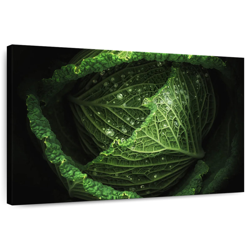 Yarlin Cabbage, 8" H x 12" W
