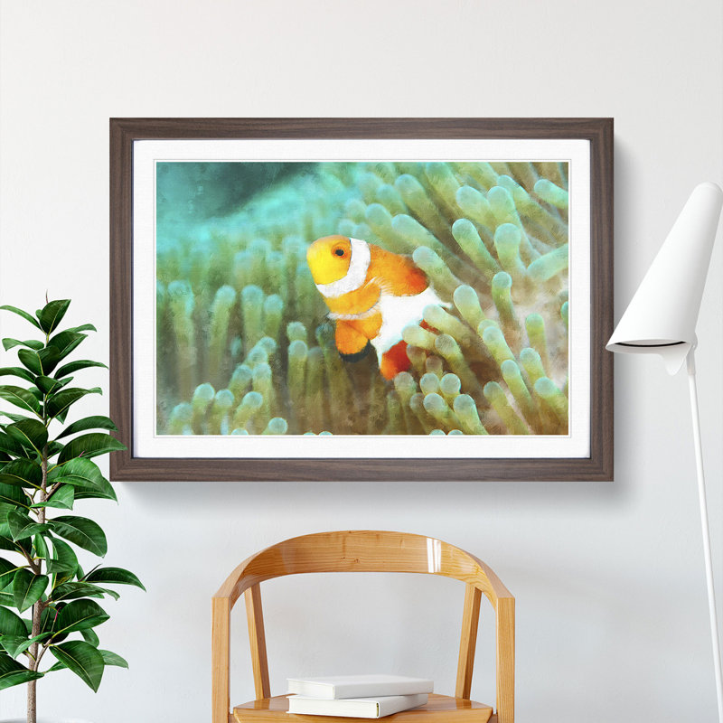 Clownfish Vol.1 - Picture Frame Graphic Art, Walnut Framed, 27cm H x 36cm W x 2cm D
