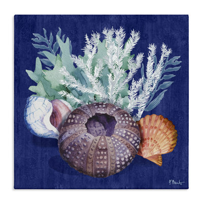 Urchin Sea Life Canvas Wall Art by Paul Brent