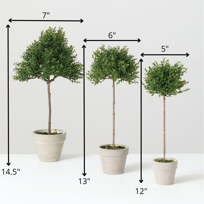 Ensemble de 3 topiaires de feuilles de thé en pot
