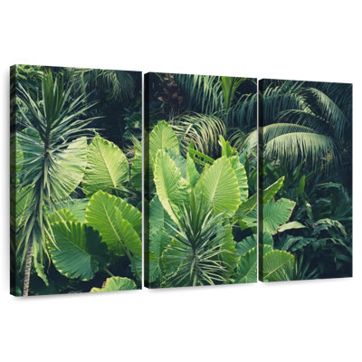 Harnek Tropical Jungle