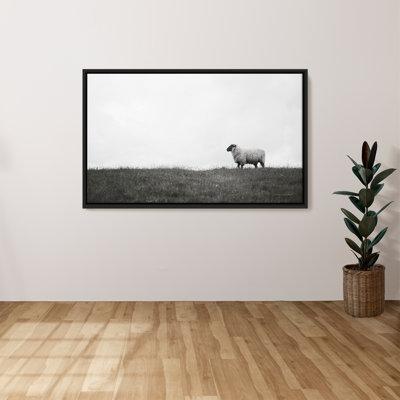 "Islay Sheep II" by Laura Marshall Print on Canvas in a Floater Frame