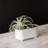 Metal Pot Planter
