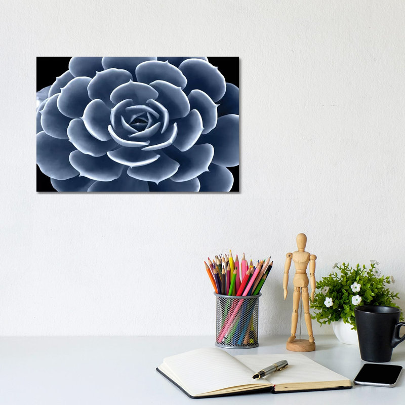 Wrapped Canvas Print, 20.32 cm H x 30.48 cm W