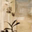 « shadow danse i », reproduction d’art sur toile-20893323-73161797-73161798