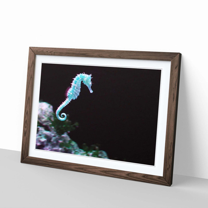 Seahorse Framed Photographic - Framed Print, Walnut