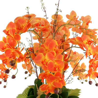 Orchidées disposées dans un pot en fibre de pierre