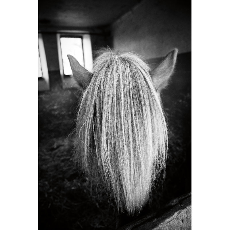 Beauté, H 12 po x l 8 po