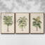 Les Palmiers II - Ensemble de 3 reproductions encadrées sur toile-97811932-97811935
