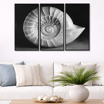 Nautilus noir dans une ombre argentée I - Photogramme marin, 3 pièces, art mural encadré
