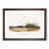 Walnut Framed selected