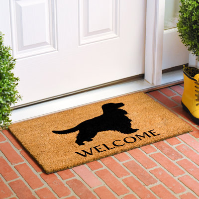 Non-Slip Indoor Doormat