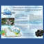 Bleu baleine