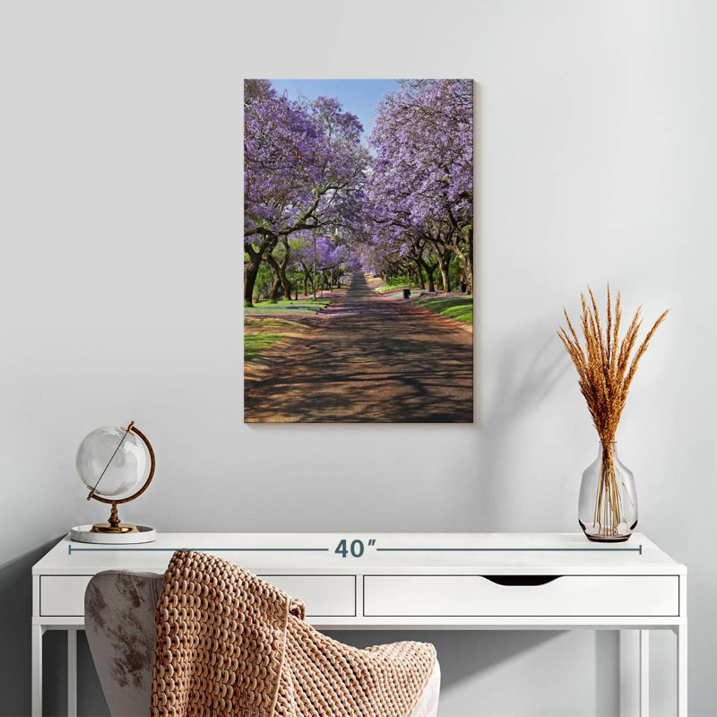 Jacaranda Sireci, H 24 po x l 16 po