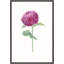 Fleur Delicate VI Painting by Helen Parker-1555462328-1555529103