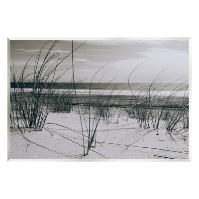 «Subtle Beach Reeds» par GraffiTee Studios