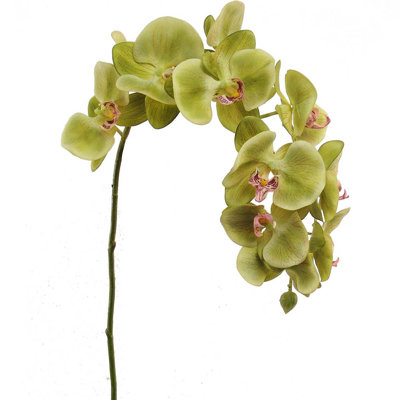 Ensemble de six tiges d'orchidées artificielles