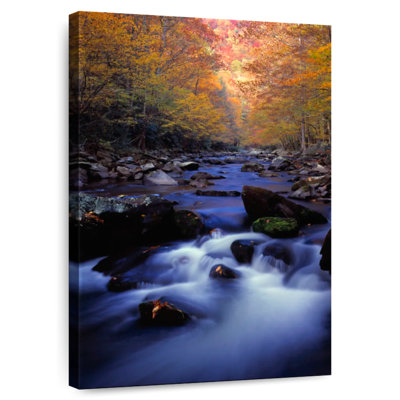 Alvord Smoky Mountain River