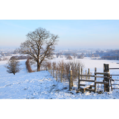 Winter Walk par Hmproudlove