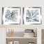 "Cereus Aeium", impression sous verre