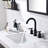 Widespread 2-handle Bathroom Faucet with Drain Assembly-61752830