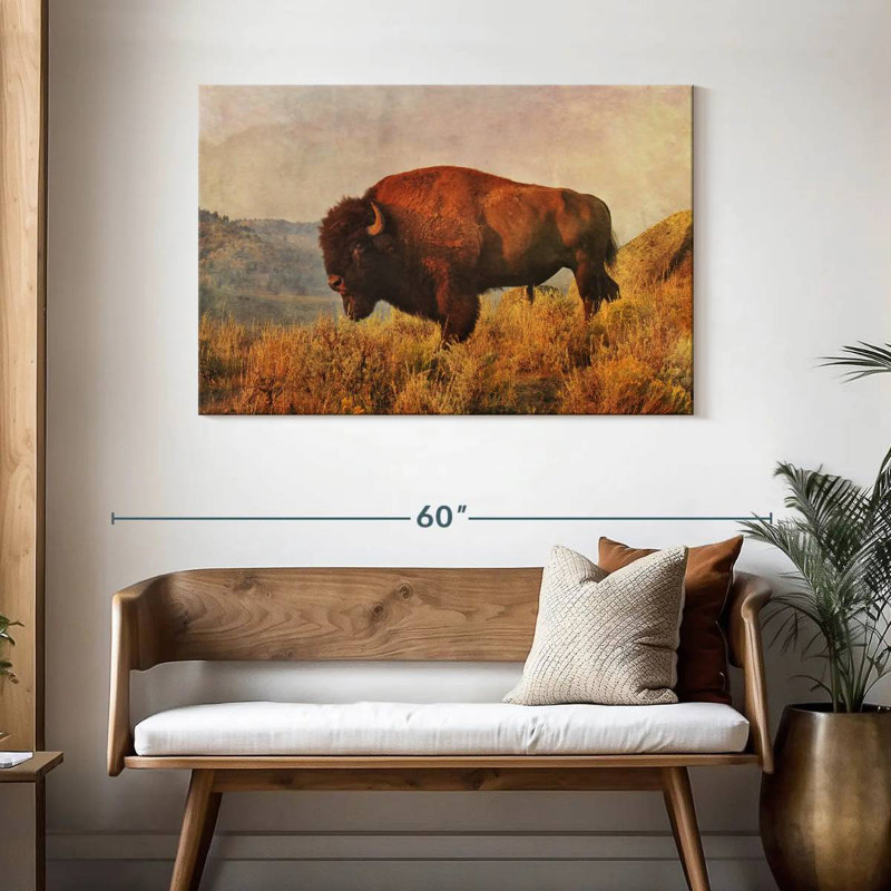 Bison sauvage sur le terrain, H 30 po x l 45 po