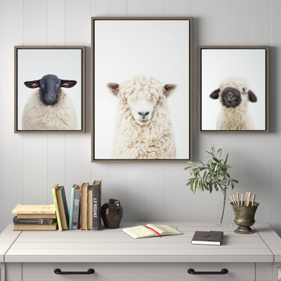«Sheep Bangs Portrait, Animal Studio Black Nosed Sheep and Dorper Sheep» par Amy Peterson, ensemble d'art mural sur toile encadrée
