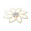 Chrisly Ceiling Fan with LED Lights