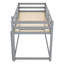 Lit superposé simple au-dessus d'un lit simple avec échelle, gris-11618382