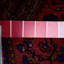 Orlah Oriental Area Rug in Red
